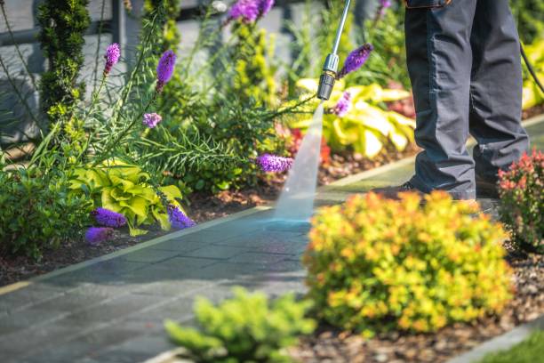 Best Spring Cleaning  in Hickory Hls, IL
